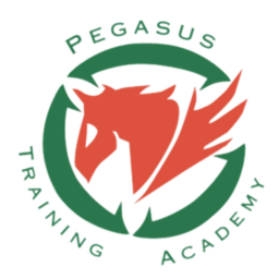 pegasusta.online